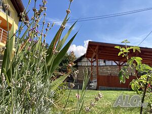 image_32