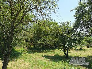 image_15