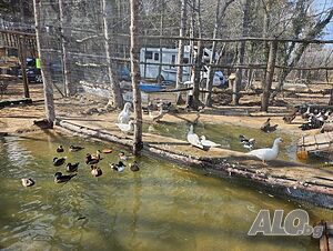 image_30