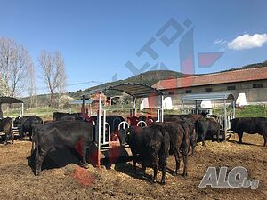 image_8