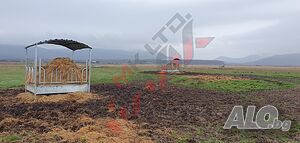 image_11