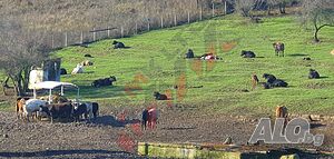 image_14