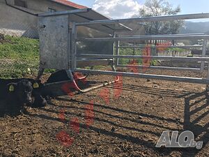 image_7