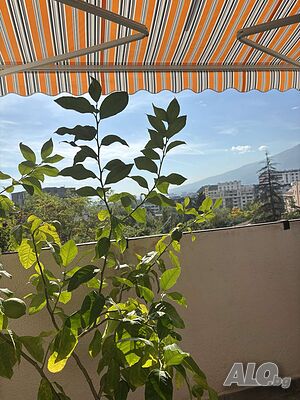 image_12