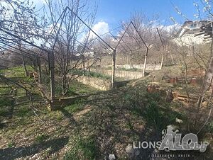 image_12