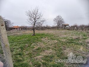 image_3