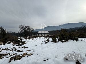 image_3