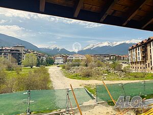 image_12