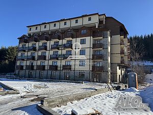 image_8