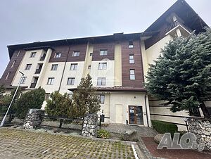 image_11