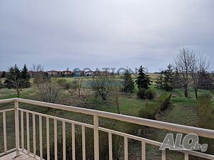 image_9
