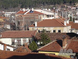 image_15