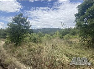 image_3