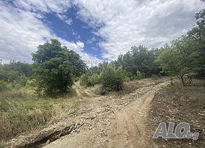 image_4