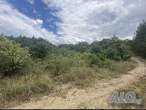 image_6