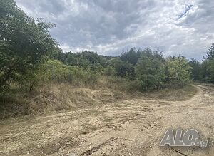 image_7