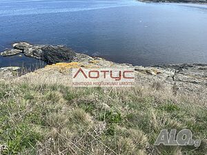 image_3