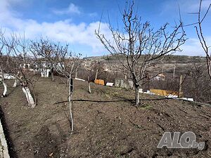 image_15