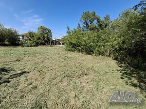 image_6