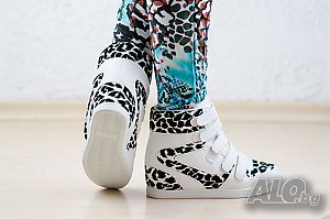 image_6