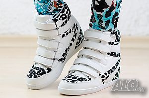 image_5