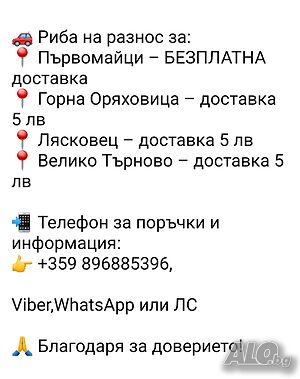 Продавам ЖИВА РИБА на разнос за Горна Оряховица, Велико Търново, Лясковец и Първомайци