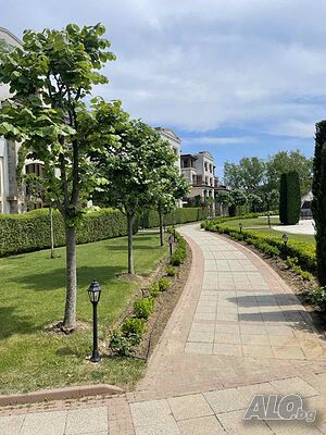 image_15