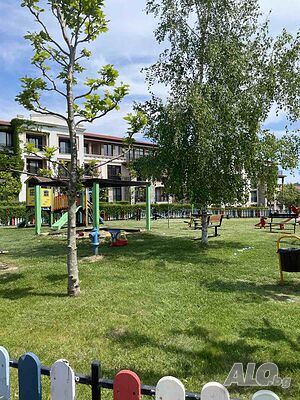 image_18