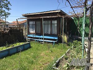 image_5