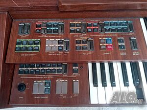 image_7