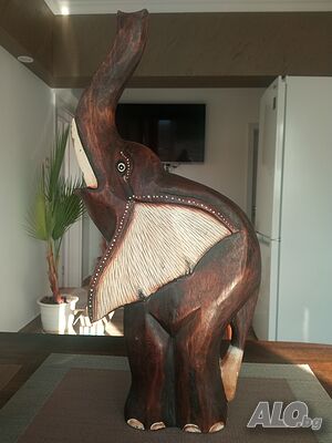 image_3