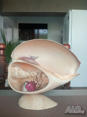 Продавам красива и голяма раковина. Ръчно изработена.