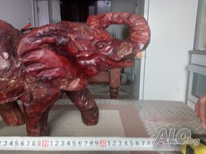 image_6