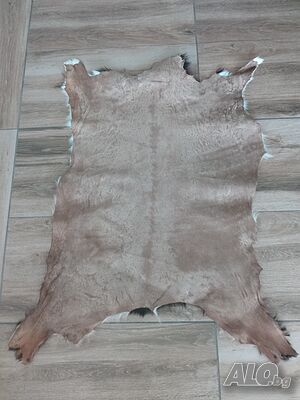 image_2