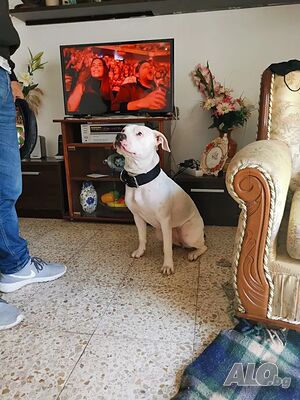 image_6