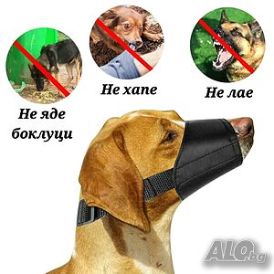 image_4