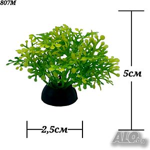 image_13