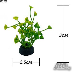 image_9