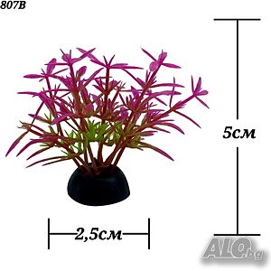 image_4