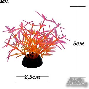 image_2