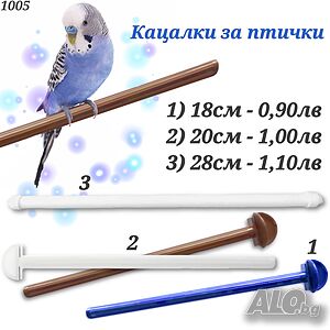 image_24
