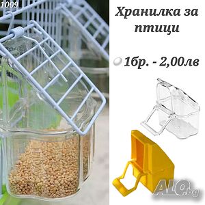 image_6