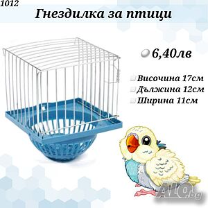 image_8