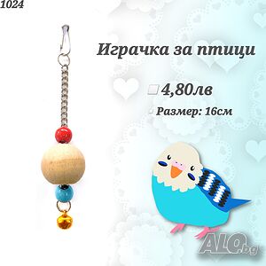 image_9