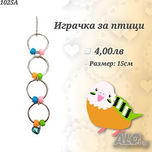 image_5