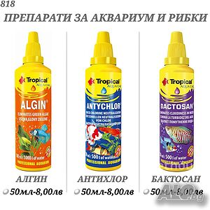 image_21