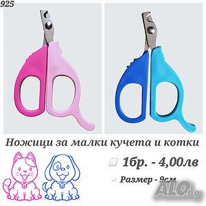 image_8