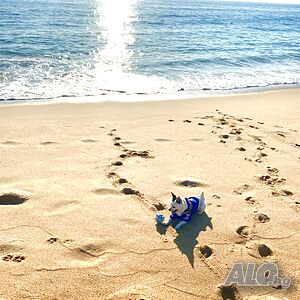 image_5