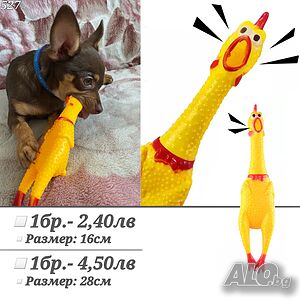 image_4