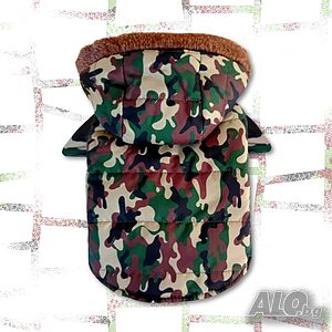 image_2